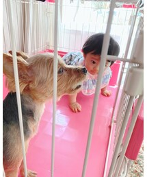 こんにちは💕ちゃんねーも見学かい❓ | 福袋/福箱
