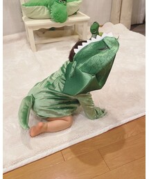 シッポ🦖⚡️ | 福袋/福箱