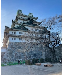 名古屋城🏯 | その他