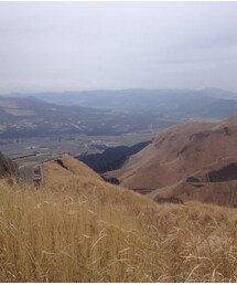 その他 | 九州 高原(その他)