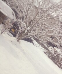 雪すごい! | その他