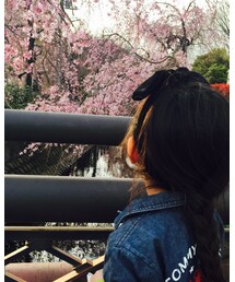 お花見 | その他