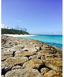 沖縄♡ | その他