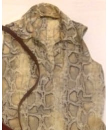 ZARA | シャツ/ブラウス