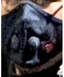 HUMAN MADE | その他