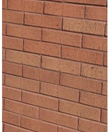 STEVE MADDEN | クラッチバッグ