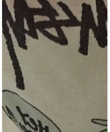 STUSSY | Tシャツ/カットソー