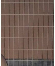 SPINNS | スウェット