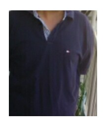 TOMMY HILFIGER | ポロシャツ