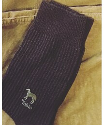 Tabio | ソックス/靴下