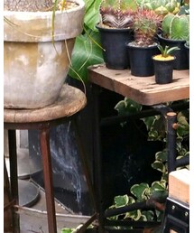 CIAOPANIC | その他パンツ