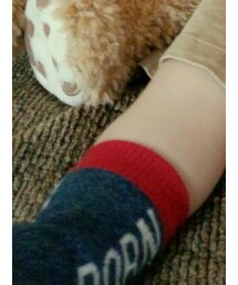 OLD NAVY | レッグウェア