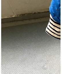 UNIQLO | レギンス/スパッツ