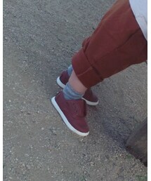 petit main | ソックス/靴下