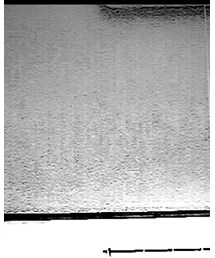 off white | パーカー