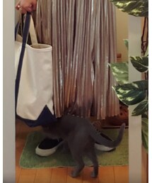 スカートに入ろうとする音ちゃん（笑） | その他