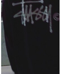 STUSSY | Tシャツ/カットソー