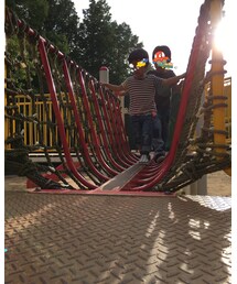 からの公園🍀☘️🌲 | その他