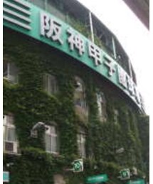 甲子園球場 | その他