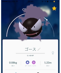 本物のゴース | 手帳/メモ帳