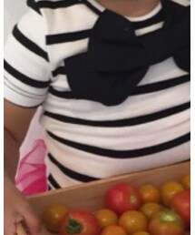 NET | Tシャツ/カットソー