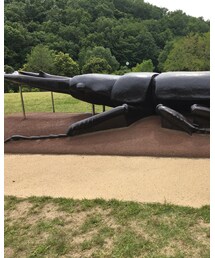 別ショット | その他