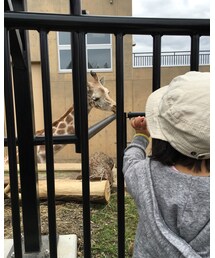 自己紹介中 | その他