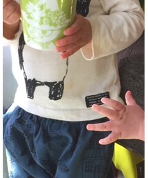 abcd | Tシャツ/カットソー