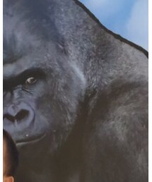 シャバーニ | その他