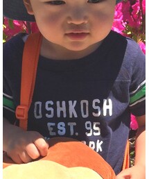 OSHKOSH | Tシャツ/カットソー