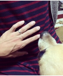 maternity | 7ヶ月目入りました(●´◡`●)
みるくと一緒に(福袋/福箱)