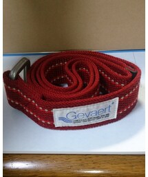 GEVAERT | ベルト