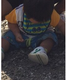 ほーちゃん | その他