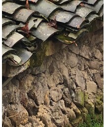 ZARA | デニムパンツ