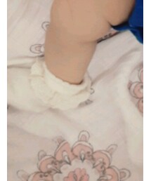 next | ソックス/靴下