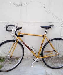 salsa | Cassroll (single road bike)(スポーツグッズ)