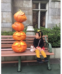 🎃 | その他