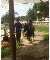 姉、乗馬 | その他