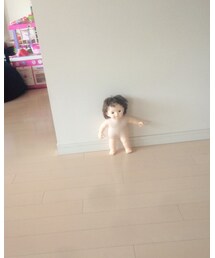 ぽぽちゃん | その他