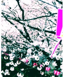 NANO universe | ステンカラーコート