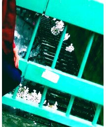 GU | デニムパンツ