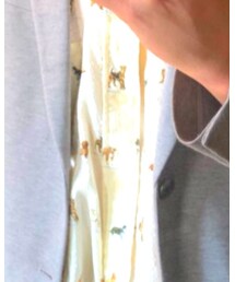 PIER BLANCA | 今、日本に在庫があるかはわかりません。(シャツ/ブラウス)