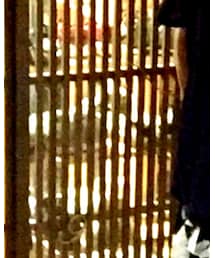 IWC | アナログ腕時計