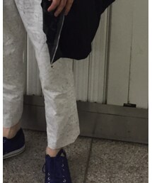 Inpaichthys kerri | その他パンツ