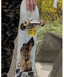 lesque | スポーツグッズ