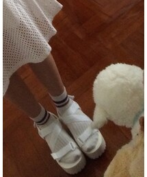 靴下屋 | ソックス/靴下