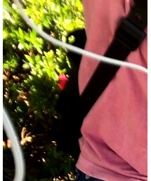 UNIQLO | スリッポン