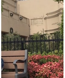 D.M.G. | デニムジャケット