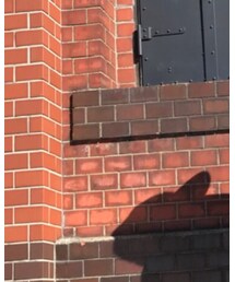 NEW ERA | キャップ