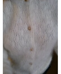 STEFANO  | アンゴラカーディガン
(カーディガン/ボレロ)